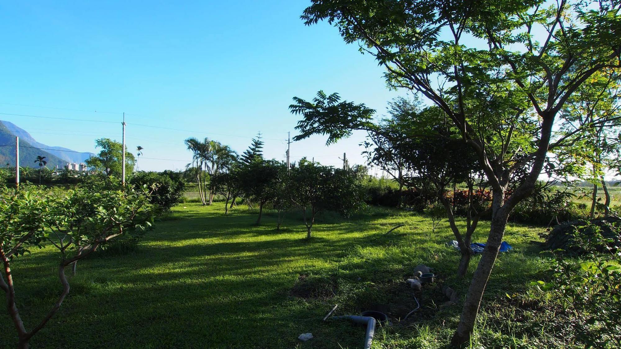 Viasea B&B Xincheng Township Exteriör bild